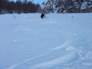 ancora un po di farina nel boschetto prima della crosta immonda!