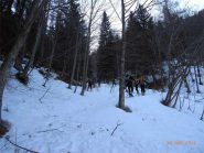 salendo nel bosco