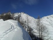 in cresta dopo il bosco ripido