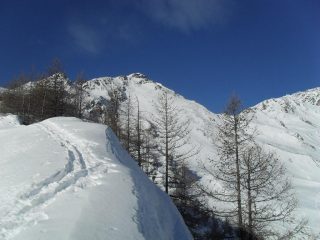 in cresta dopo il bosco ripido