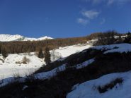 il grande alpeggio  dopo circa un ora di cammino