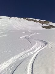 farina..