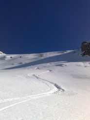 farina..