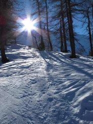 Finalmente il sole.......