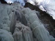 cavolfiori,meduse ed acqua copiosa