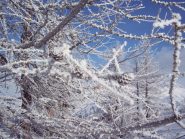 Effetti di neve