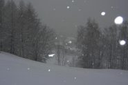 Discreta nevicata