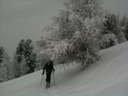 All'uscita del bosco un po' di visibilità (e di vento).