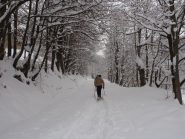 pista gia' tracciata