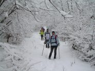 In discesa nel bosco.