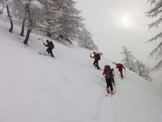 si fa bello dritto