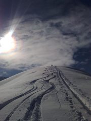 le uniche curve 