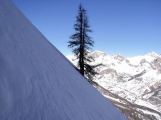 delicato traverso fino al larice