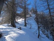 Quota 2160 raggiunta sci ai piedi