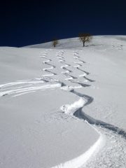 polvere 2