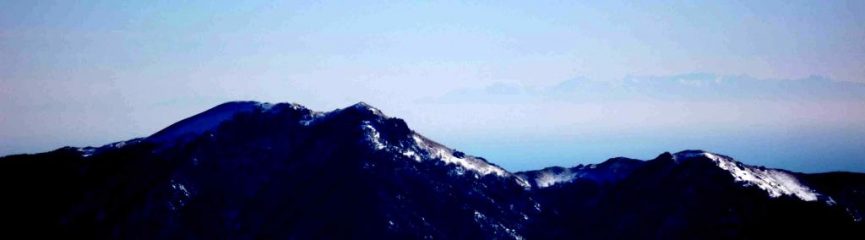 Galero e corsica