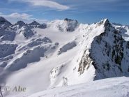 Dalla cima il Marchhorn.
