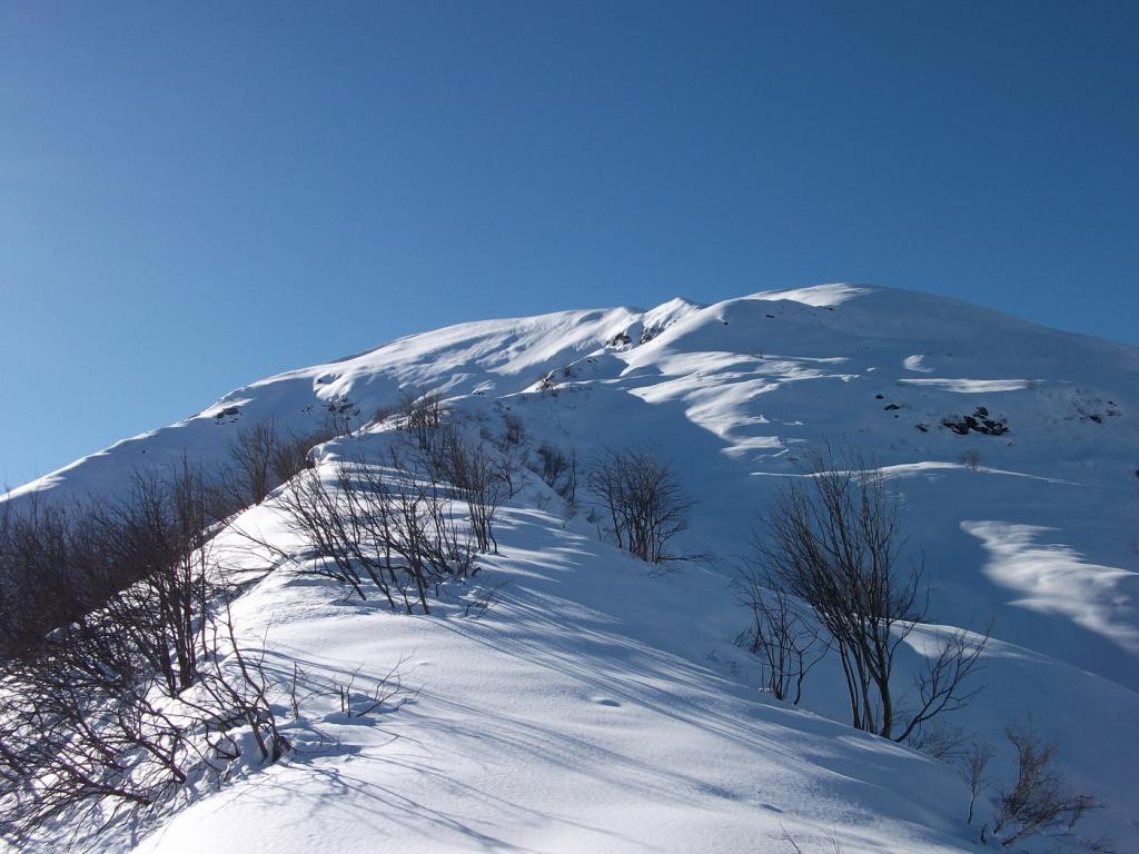 tutto intonso davanti