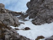 si intravede la cermenati