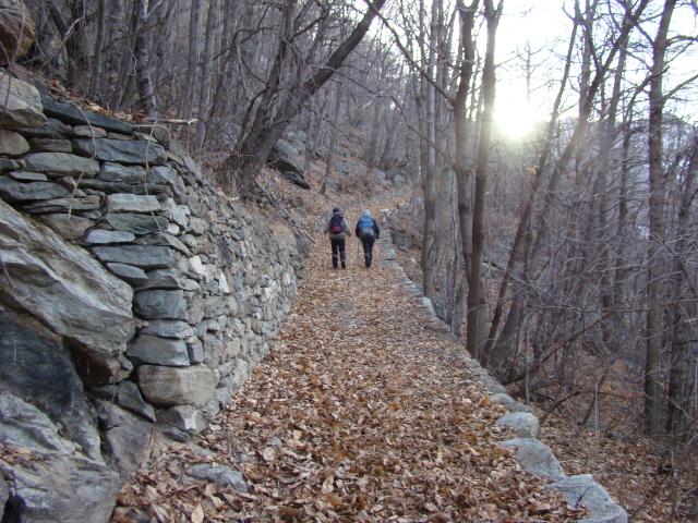 salendo la mulattiera