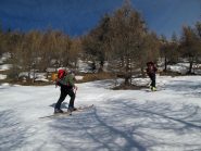 Il bosco