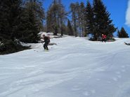 Discesa nel bosco