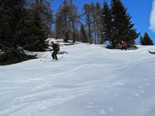 Discesa nel bosco