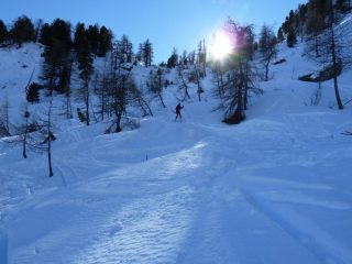 Polvere anche nel budello