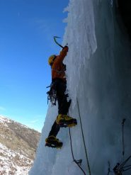 mark fuori dalla nicchia