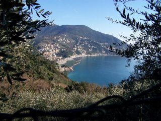 Moneglia