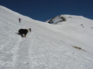 ULTIMI METRI PRIMA DELLA PUNTA