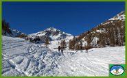 Uscita dal bosco,al centro il Bec di Nana