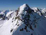 Corborant dalla cima 