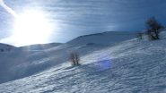Pendii di buona farina