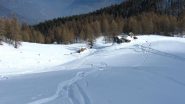 Quasi al bosco