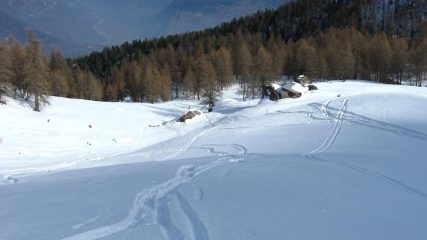 Quasi al bosco