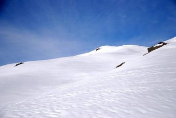 pendii vergini everywhere