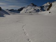 Tracce di animali sul Lago Palasina