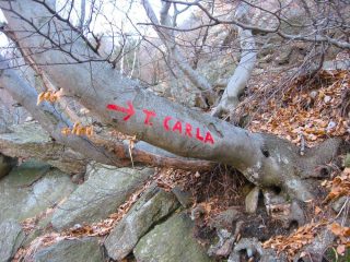 INDICAZIONE X LA TORRE