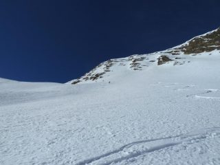 Farina pressata