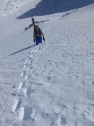 Sul conoide
