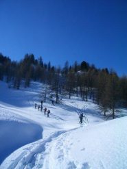 proseguendo verso il boschetto