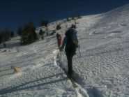 Verso la cima oltre il bosco