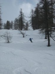 farina!!!