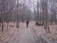 Percorrendo il sentiero che sale al Bric Vignadoma