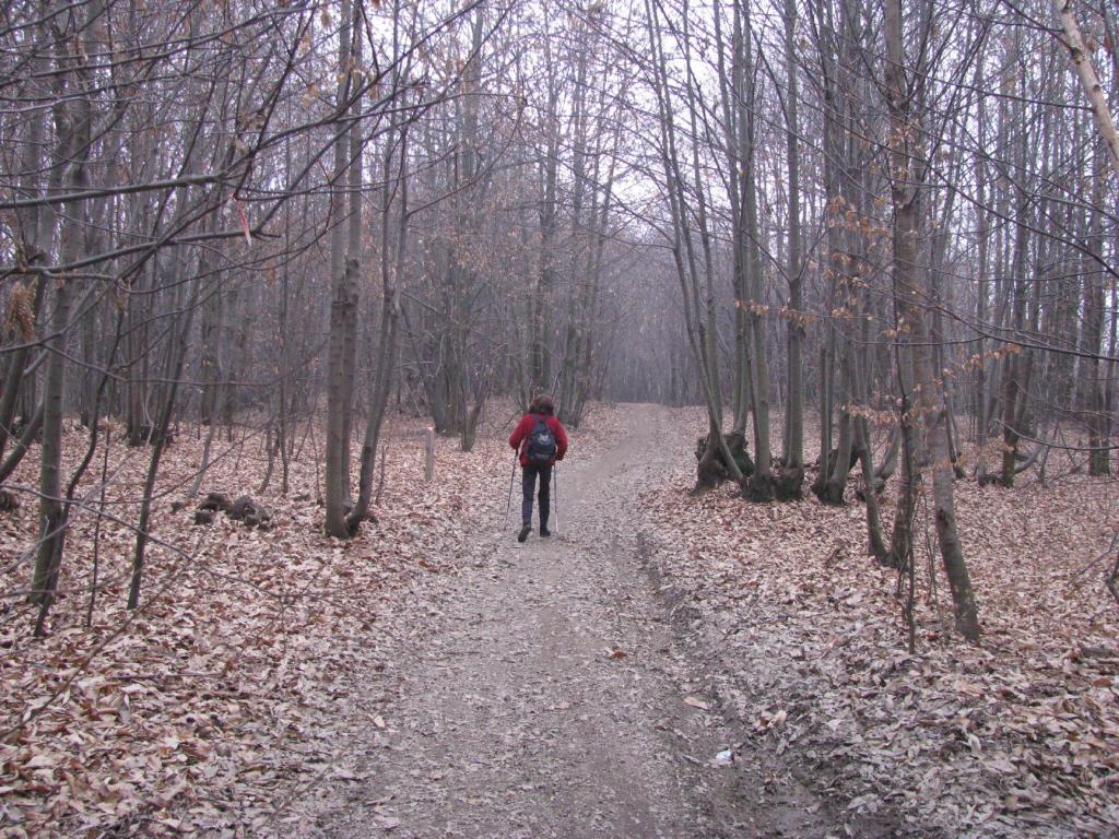 Percorrendo il sentiero che sale al Bric Vignadoma