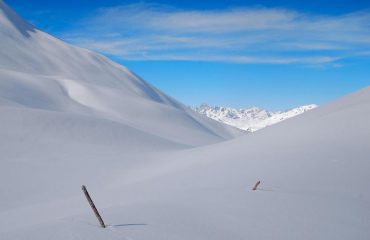 linee armoniche e sensuali
