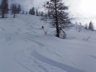 Quanta discesa!