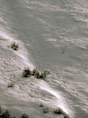 Mella rinforza la mia cucitura 