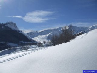 Uscendo dal bosco